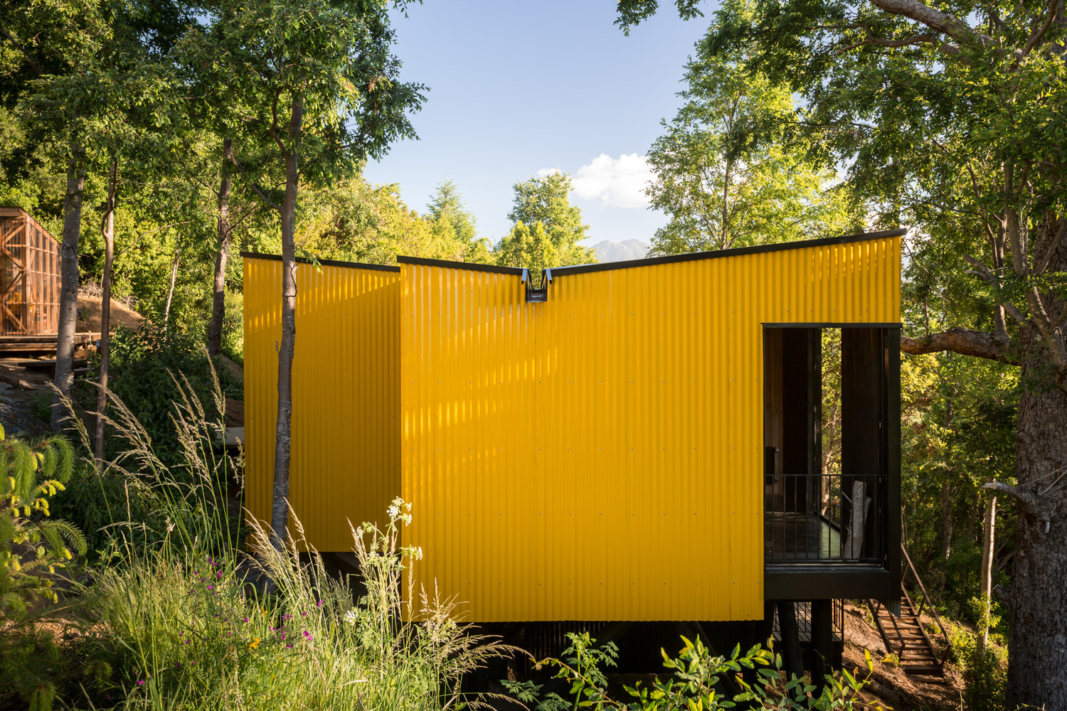 Yellow House — perspectiva del bosque desde la vivienda, arquitecto Alejandro Soffia